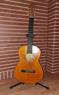 گیتار کلاسیک