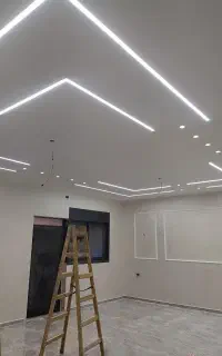 برقکشی توافقی