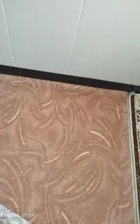 موکت