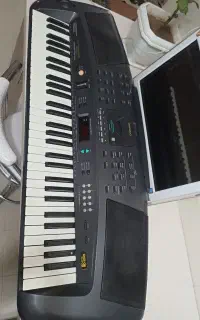 ارگ دوو
