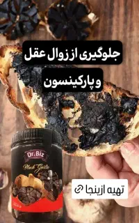 سیر سیاه