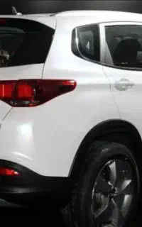 راننده با ماشین