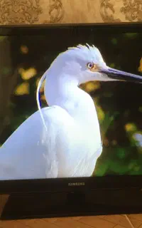 تلوزیون ال ای دی اصل سامسونگ۳۲