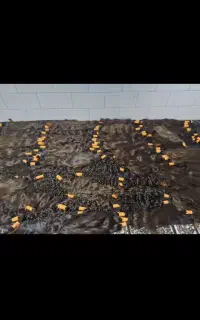 خریدار اصلی موی بانوان