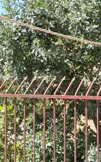 معاوضه یا فروش اپارتمان استانداری با بهاران