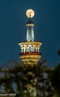 بم به مشهد