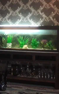 آکواریوم بزرگ