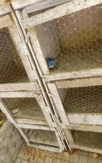 قفس جفت کن 6تایی