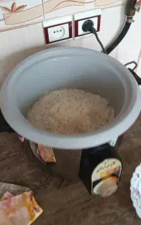 پلوپز پارس نیکی
