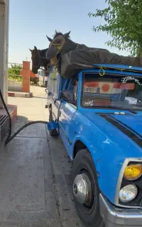 وانت تلفنی،نیسان تلفنی