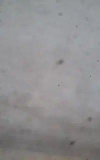خط ثابت همراه اول