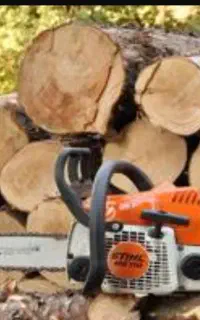 چوب بری و هرس درخت با اره برقی