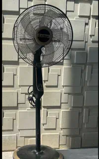 پنکه کاریشن