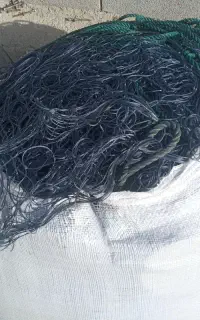 تور شیری