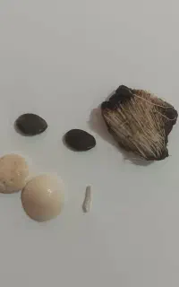 قدیمی