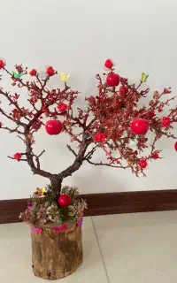درختچه دکوری تزئینی