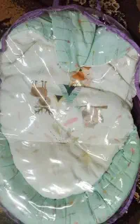 آغوشی سوییسی