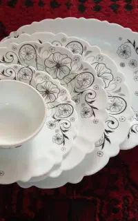 سرویس غذاخوری ایروپال