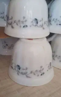فنجان ارکوپال
