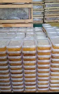 عسل خالص تضمینی، ارده ،شیره خرما. شیره انگور