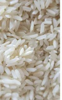 برنج هندی و پاکستونی