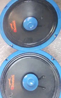 باند ماشین چیتا