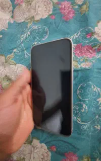 iphone 13 normal