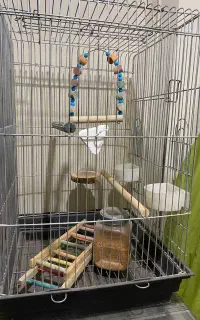 قفس