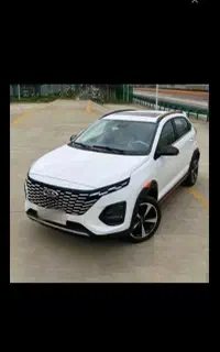 x33 کراس