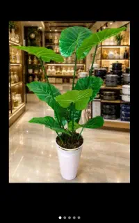 همیشه سبز با گل مصنوعی