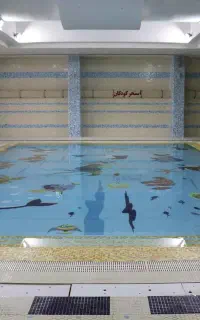 بلیط بلیت استخر غواص