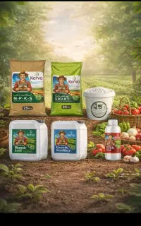 کود ارگانیک  برای زمین انفجاری