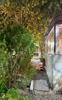 مراسم /تولد /دورهمی