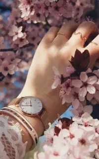 طلا