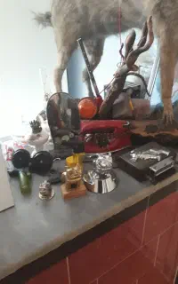 سگ ماک