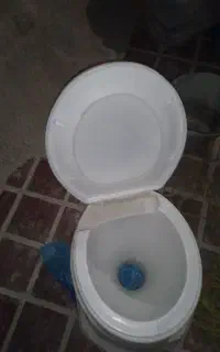 یه عدد تولت فرهنگی