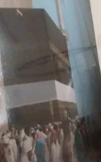 ۲عددفیش عمره