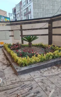 خدمات باغبانی هرسکاری کوددهی سم پاشی شمشاد