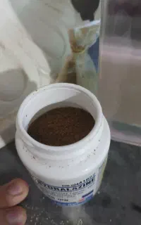 آکواریوم شیشه خم شرکتی