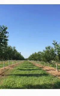 طراحی و ایجاد