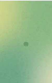 ضامن نیاز دارم.