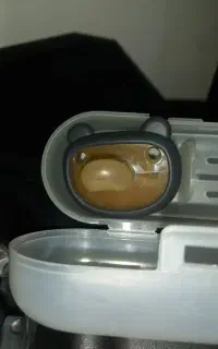 پستونک