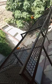 نظم دهنده میوه برای تره باری