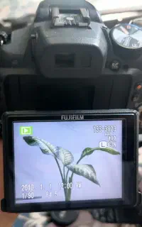 دوربین فوجی HS 10