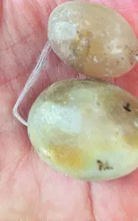 مهره برد اصلی مناسب محبت و روزی