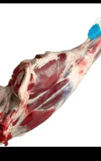 گوشت