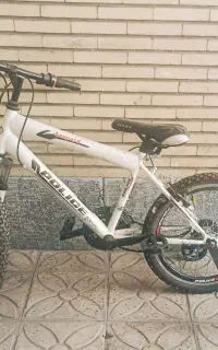 دوچرخه پلیس