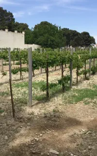 پایه بتن انگور و حصارکشی و نصب پنل خورشیدی