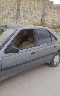 پژو ۴۰۵ دوگانه