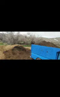 پهن گوسفتدی کود گوسفندی تحویل درب باغ